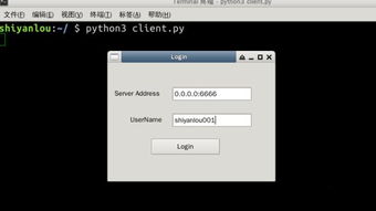 Python碼農開發專屬聊天軟件，輕松賺取三千元